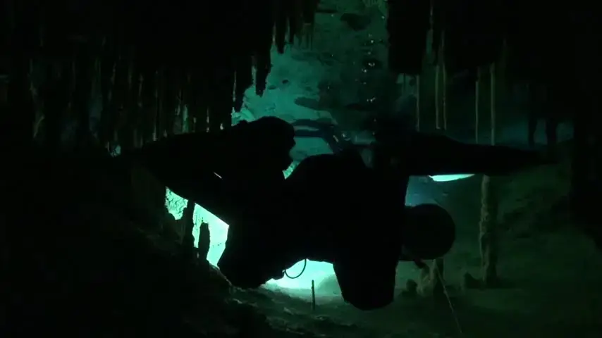 A silhouetted scuba diver swims underwater in a dark cave, with light filtering through the water and stalactites hanging from the cave ceiling above.
