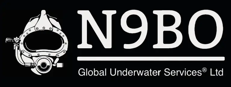 N9BO logo (about us)