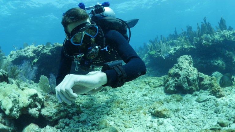 A scuba diver swims underwater near a coral reef, looking at their wrist, possibly checking a dive computer or watch, surrounded by clear blue water and marine life.
