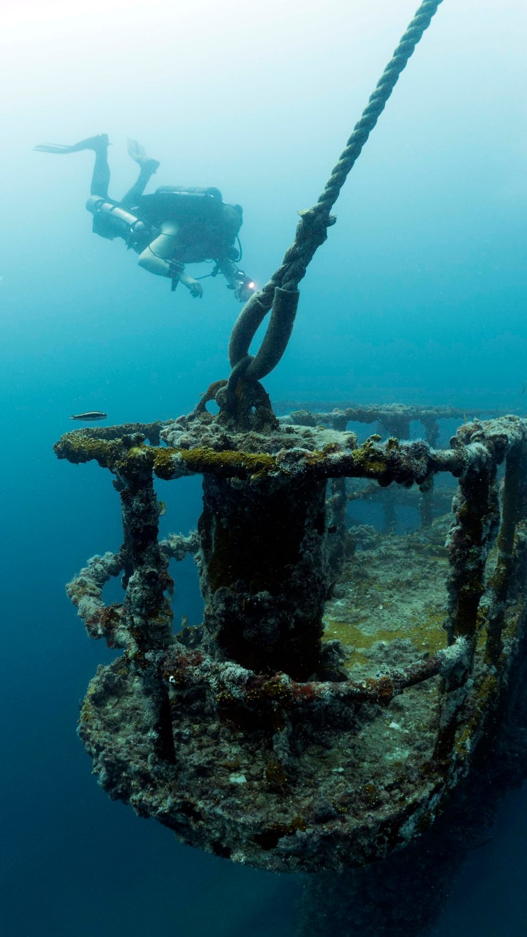 A scuba diver explores a sunken, moss-covered shipwreck underwater, with a thick rope attached to the structure. Blue water surrounds the scene, creating a mysterious atmosphere.