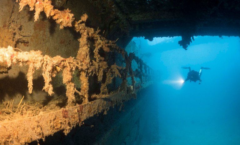 A scuba diver with a torch explores the interior of a sunken shipwreck underwater, with encrusted railings and beams visible in the blue-lit scene.