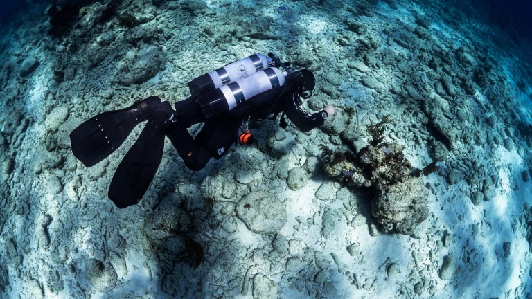A scuba diver in a wetsuit and fins swims above a sunlit, rocky sea floor with scattered coral, surrounded by clear blue water.
