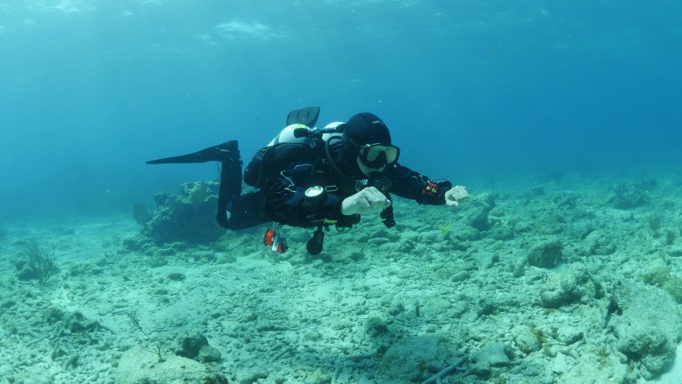 A scuba diver in full kit swims above a rocky seabed in clear blue water, surrounded by coral and marine life.