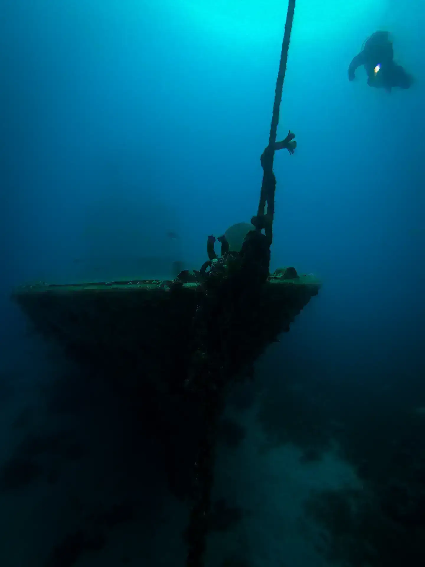 A scuba diver swims above the bow of a sunken shipwreck, illuminated by blue underwater light, with a rope descending from above and marine growth visible on the wreck.