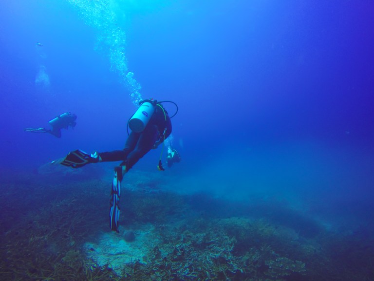 Two scuba divers swim underwater in clear blue sea, surrounded by seabed and aquatic plants. The divers wear wetsuits and cylinders, with bubbles rising to the surface. The water appears calm and deep.