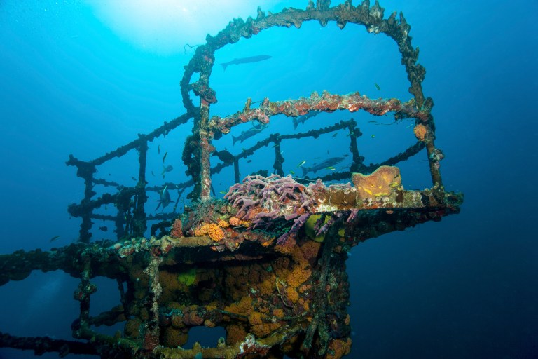 A sunken, rusted shipwreck covered in colourful corals and marine life rests on the ocean floor, with sunlight filtering down through the blue water above.