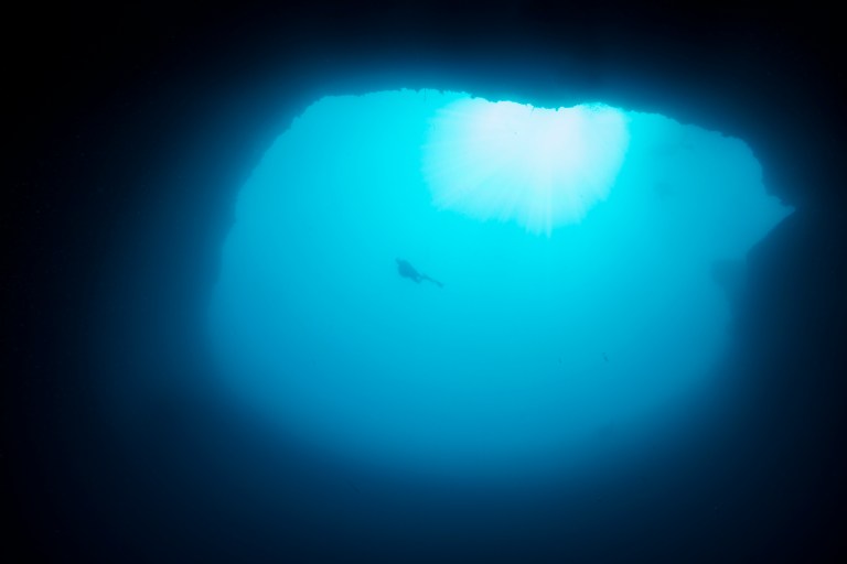 A silhouette of a shark swims beneath a bright opening in the surface of deep blue water, with sunlight streaming down from above into the darker depths below.