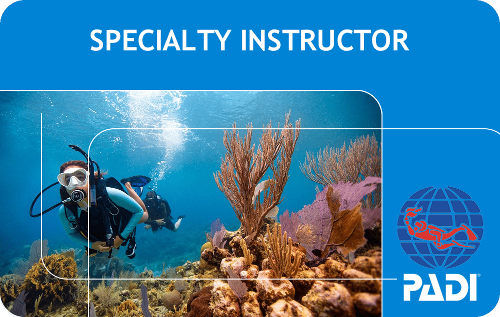 Two scuba divers swim over a colourful coral reef underwater. Text above reads “Speciality Instructor.” The PADI logo, featuring a globe and diver, is displayed in the lower right corner on a blue background.