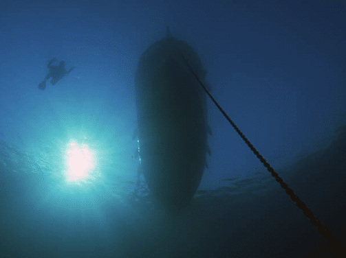 Underwater view of a large boat anchored to the sea floor, with sunlight shining through the water and a diver swimming near the surface.