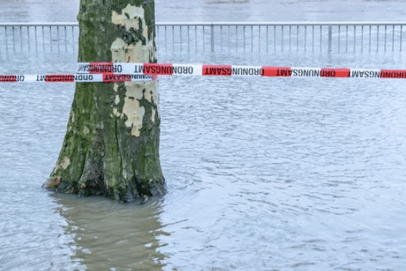 Screenshot 2026-03-06 133645 - N9BO℠ | Global Underwater Services Ltd A tree trunk stands in floodwater, with red and white warning tape wrapped around it. A metal fence is visible in the background, and water covers the ground up to the tree.