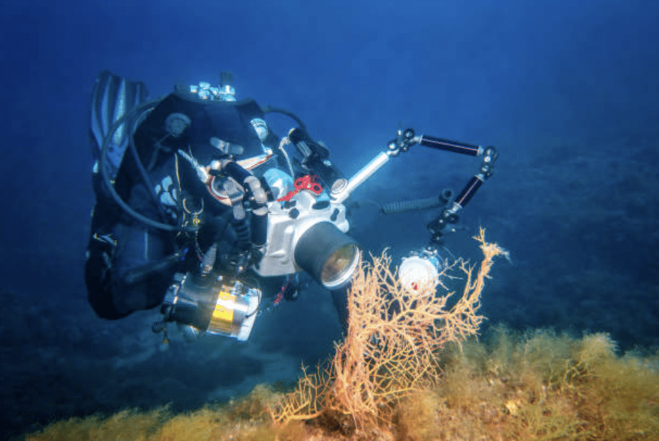 A scuba diver underwater uses a professional camera with lighting equipment to photograph yellow coral on the sea floor, surrounded by blue water.