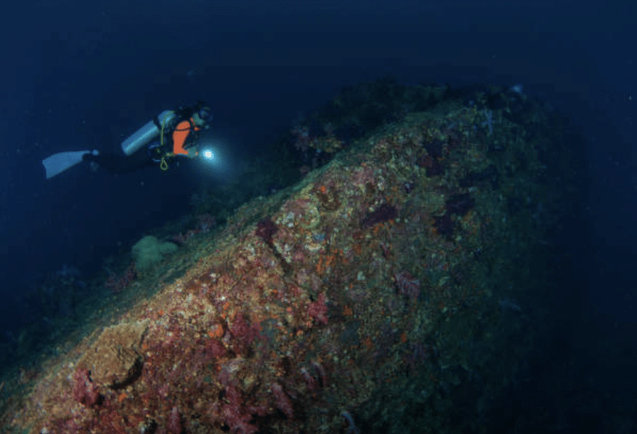 Screenshot 2026-03-15 at 124149 - N9BO℠ | Global Underwater Services Ltd A scuba diver with a torch explores a large, colourful shipwreck covered in marine life on the ocean floor.