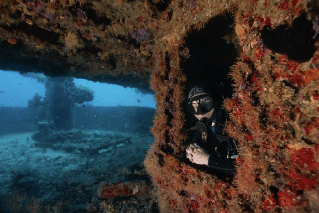 Screenshot 2026-03-15 at 140710 - N9BO℠ | Global Underwater Services Ltd A scuba diver in full kit looks out from the window of a colourful, coral-covered shipwreck underwater, with blue ocean and marine life visible in the background.