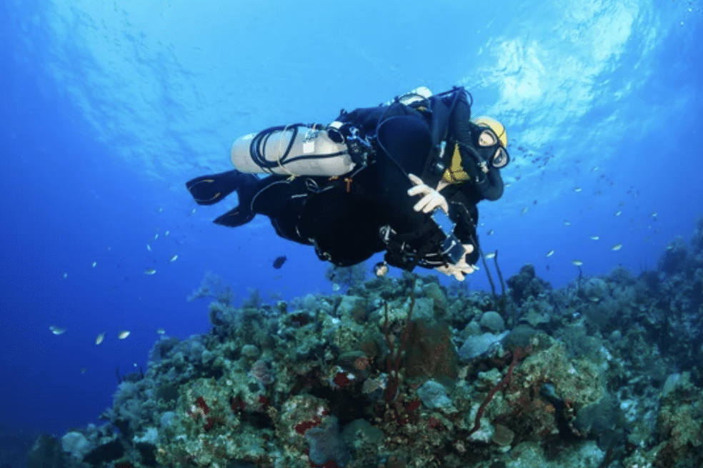 Two scuba divers swim closely together above a colourful coral reef in clear blue water, surrounded by small fish. The divers wear full scuba gear, including tanks, wetsuits, and masks.