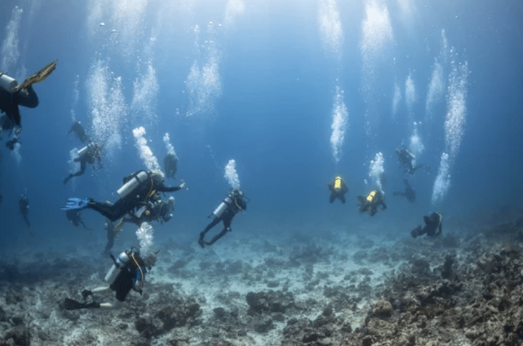 A group of scuba divers swim underwater above a rocky seabed, with streams of bubbles rising towards the surface in clear blue water.