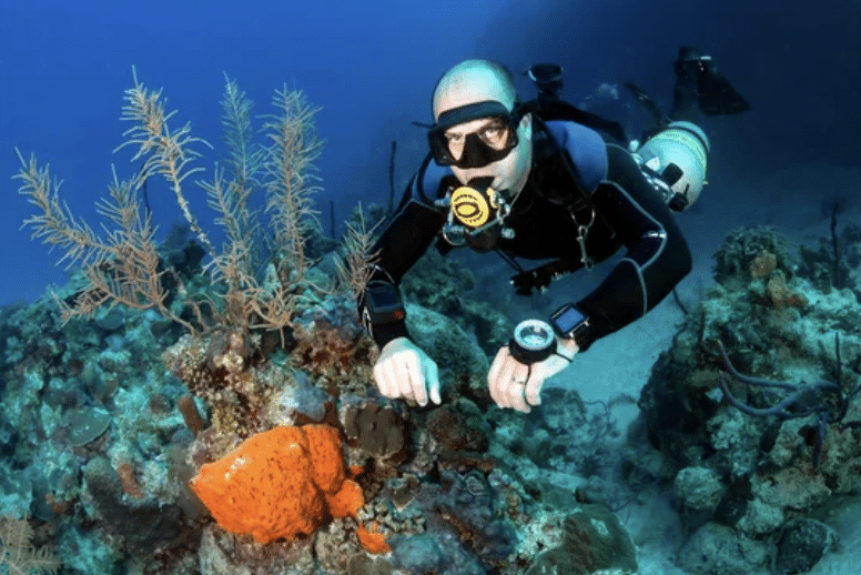 Screenshot 2026-03-15 at 171508 - N9BO℠ | Global Underwater Services Ltd A scuba diver swims near a colourful coral reef, surrounded by various corals and marine life. The diver wears a wetsuit, mask, and scuba gear, and holds gauges while exploring underwater.