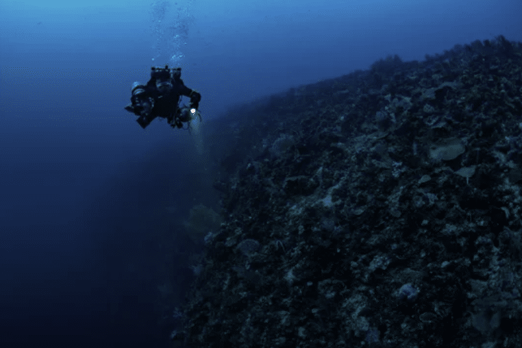 Screenshot 2026-03-15 at 172600 - N9BO℠ | Global Underwater Services Ltd A scuba diver with a torch explores a steep underwater coral reef wall, surrounded by deep blue ocean water.