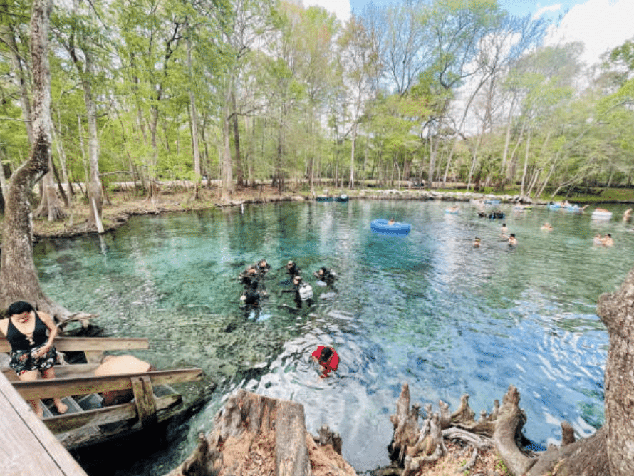 Screenshot 2026-03-15 at 220025 - N9BO℠ | Global Underwater Services Ltd People swim and snorkel in a clear, blue spring surrounded by trees. Some swimmers use lilos, while others prepare to enter the water from stairs on the left. The area is lush and green, with tree roots visible at the water's edge.