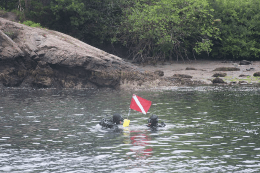 Screenshot 2026-03-15 at 233406 - N9BO℠ | Global Underwater Services Ltd Two scuba divers are swimming near a rocky shore, holding a red and white dive flag and a yellow object, with green trees in the background.
