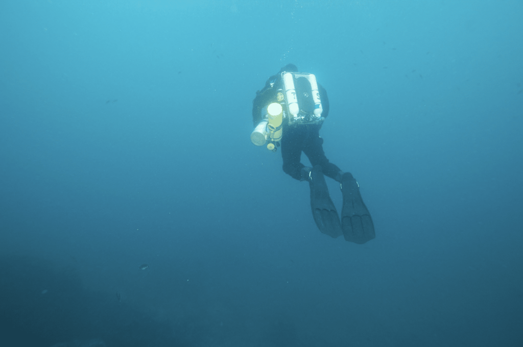 Screenshot 2026-03-30 at 163048 - N9BO℠ | Global Underwater Services Ltd A scuba diver with large fins and air tanks swims underwater in clear blue water, surrounded by a few small fish and fading into the deep, open sea.