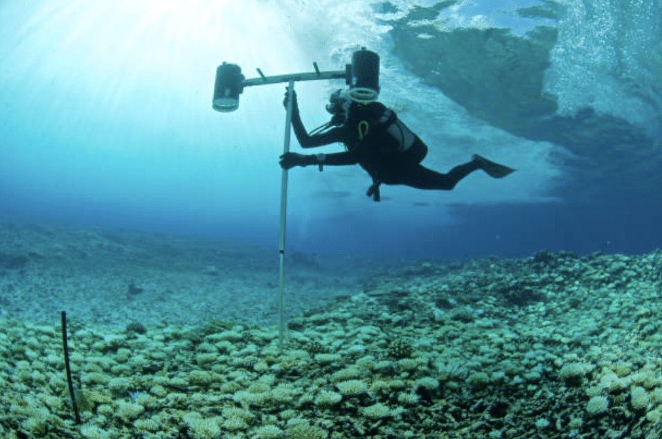 A scuba diver underwater sets up scientific equipment on a pole above a coral reef, with sunlight streaming through the water's surface.