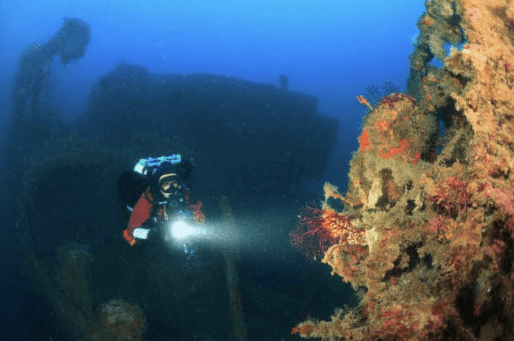 Screenshot 2026-03-31 at 215121 - N9BO℠ | Global Underwater Services Ltd A scuba diver with a torch explores a sunken shipwreck underwater, surrounded by colourful coral and marine life in clear blue water.