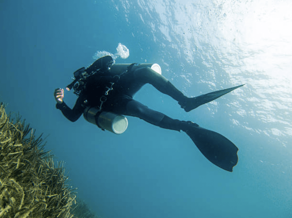 Screenshot 2026-03-31 at 222135 - N9BO℠ | Global Underwater Services Ltd A scuba diver wearing flippers and carrying cylinders swims underwater near a bed of aquatic plants, surrounded by clear blue water and sunlight filtering from above.