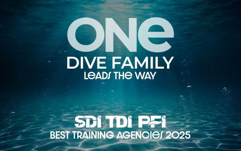 Text “ONE DIVE FAMILY LEADS THE WAY” appears underwater with light rays shining through. At the bottom, it says “SDI TDI PFI BEST TRAINING AGENCIES 2025”.