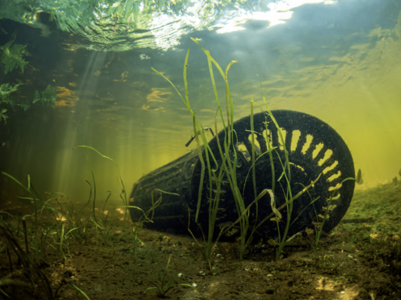 Screenshot 2026-04-01 at 095234 - N9BO℠ | Global Underwater Services Ltd A black cylindrical object with slotted openings lies on the sandy floor of a shallow, sunlit body of water, surrounded by green aquatic plants and algae. Sunbeams filter through the water’s surface.