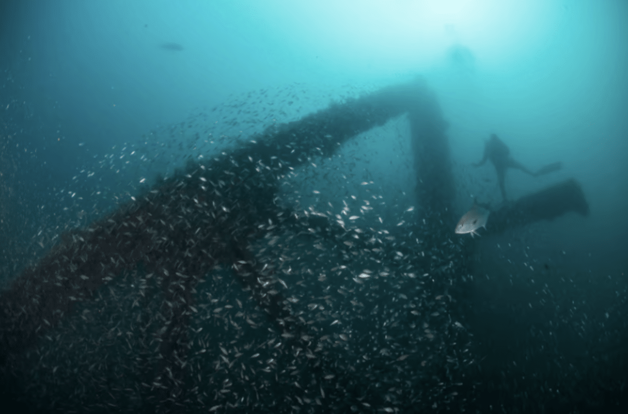 A scuba diver swims near a large, submerged metal structure underwater, surrounded by a dense shoal of small fish. Sunlight filters down from the water’s surface, creating a blue-green glow.