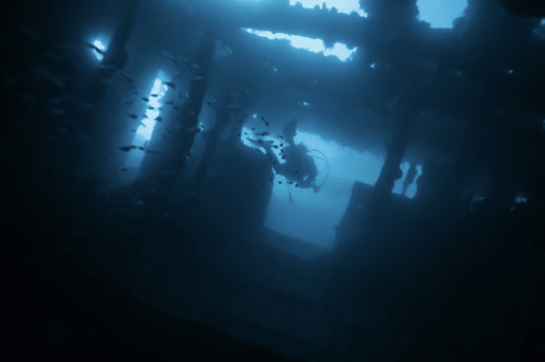 A scuba diver is seen underwater, exploring the interior of a sunken shipwreck surrounded by small fish, with beams of blue light filtering through gaps in the structure.