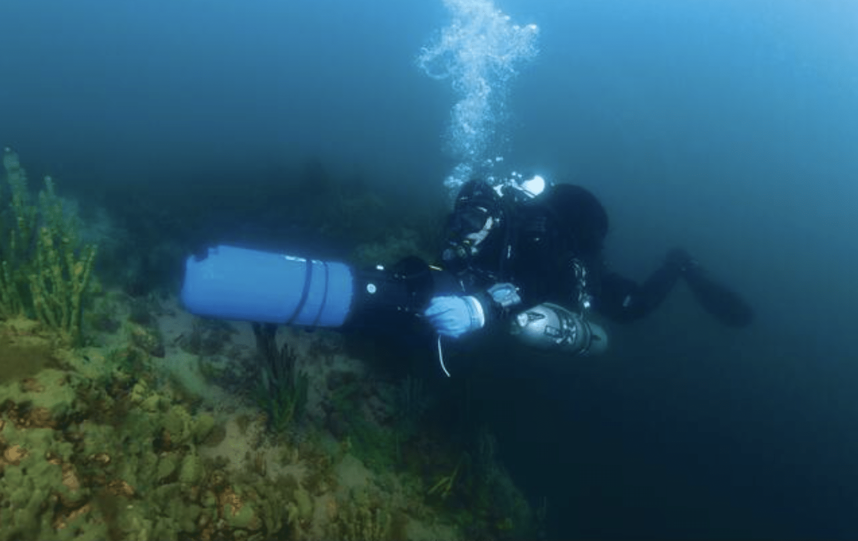 Screenshot 2026-04-01 at 221510 - N9BO℠ | Global Underwater Services Ltd A scuba diver in full kit swims near the seabed, surrounded by aquatic plants and coral, with bubbles rising to the surface in clear blue water.