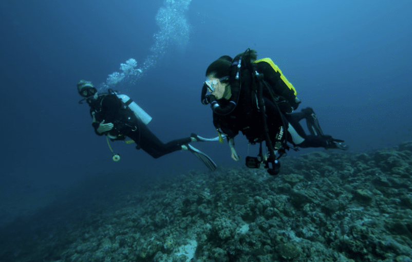 Screenshot 2026-04-03 141633 - N9BO℠ | Global Underwater Services Ltd Two scuba divers equipped with cylinders and wetsuits swim underwater above a rocky seabed, surrounded by deep blue water and rising bubbles.