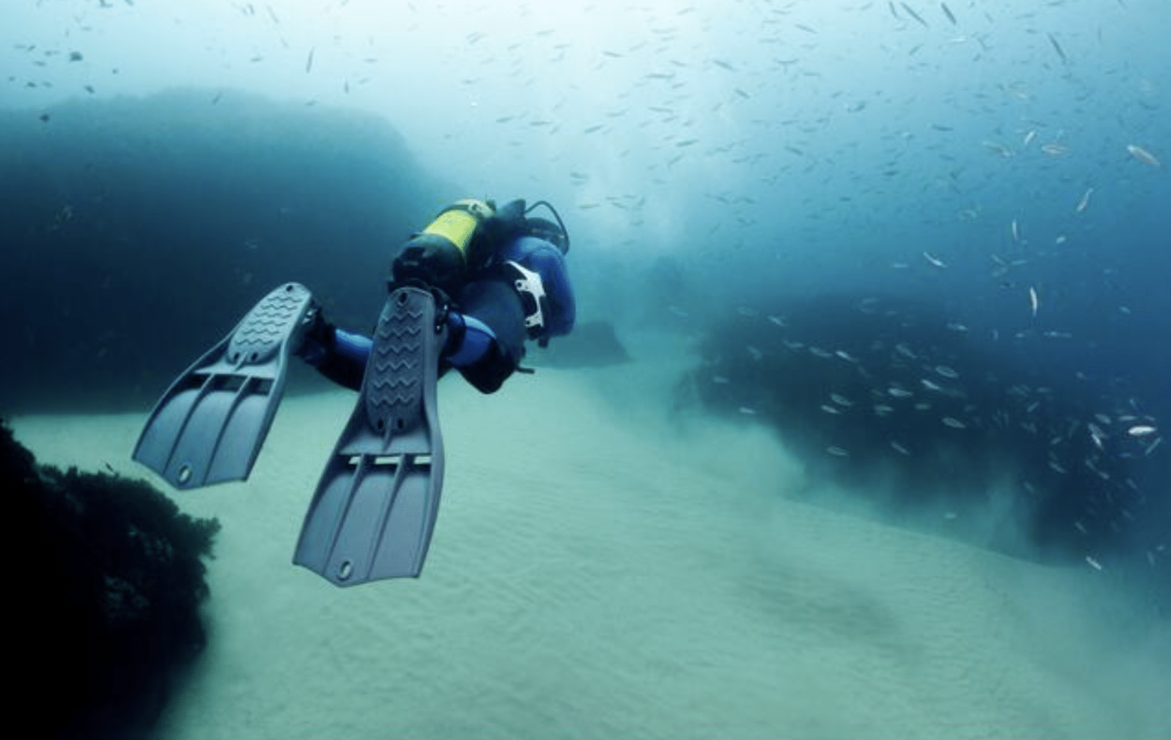 Screenshot 2026-04-05 at 222736 - N9BO℠ | Global Underwater Services Ltd A scuba diver with fins and an oxygen cylinder swims underwater among small fish, surrounded by blue-green water and rocky formations.