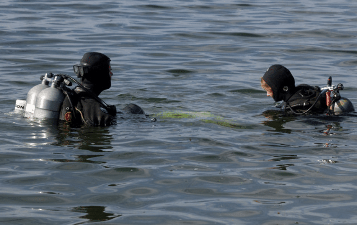 Two scuba divers wearing wetsuits and cylinders float on the surface of calm water, facing each other as they prepare for or complete a dive.