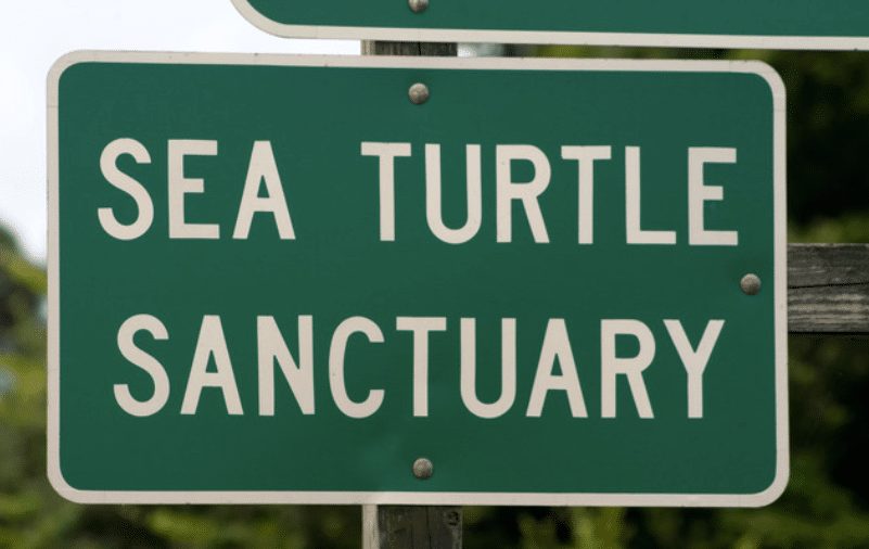 Screenshot 2026-04-07 150424 - N9BO℠ | Global Underwater Services Ltd Green road sign with white capital letters reading Sea Turtle Sanctuary, indicating a protected area for sea turtles. The background is blurred greenery.