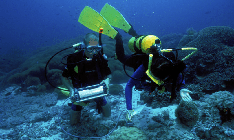 Screenshot 2026-04-07 160605 - N9BO℠ | Global Underwater Services Ltd Two scuba divers in yellow fins and gear examine coral reefs underwater. One diver holds a device while the other peers closely at the coral, surrounded by marine life and blue water.