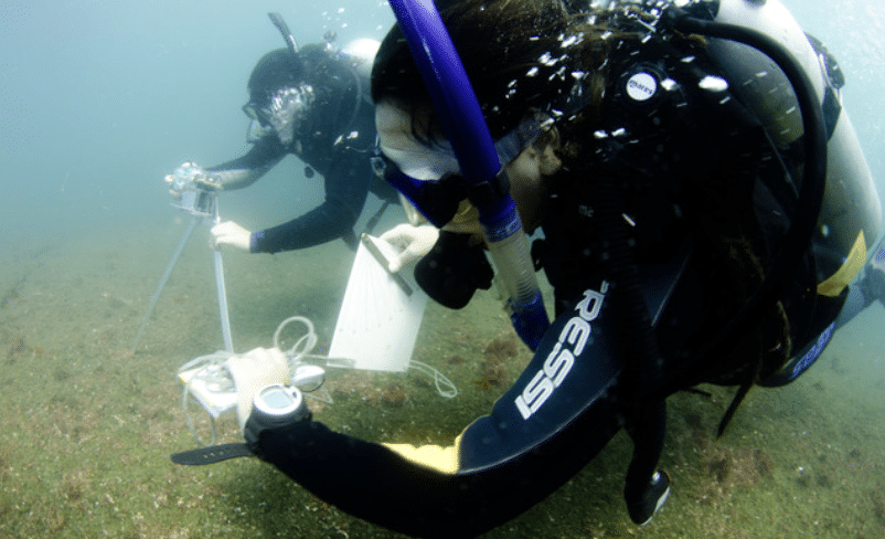 Screenshot 2026-04-07 160613 - N9BO℠ | Global Underwater Services Ltd Two scuba divers in wetsuits collect data underwater using measuring equipment and a camera, working close to the seabed.