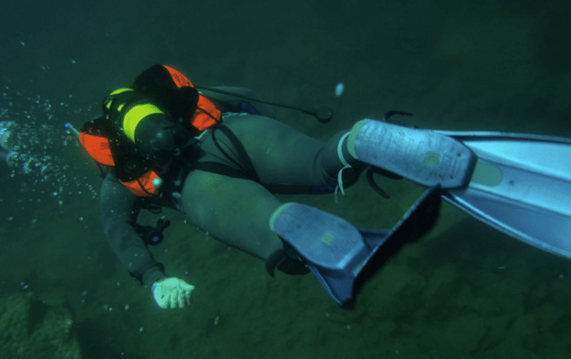 Screenshot 2026-04-07 204738 - N9BO℠ | Global Underwater Services Ltd A scuba diver wearing a yellow and orange buoyancy aid, wetsuit, and fins swims underwater, surrounded by dark green water and some bubbles.