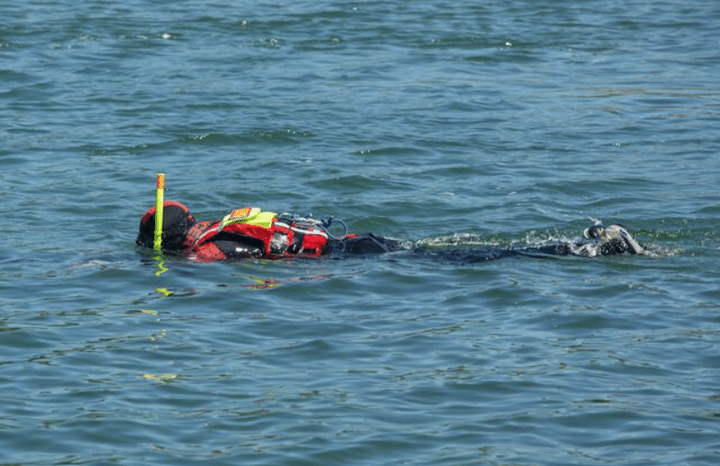 Screenshot 2026-04-07 204824 - N9BO℠ | Global Underwater Services Ltd A diver in a red wetsuit and snorkel gear swims on the surface of blue water, carrying equipment on their back.