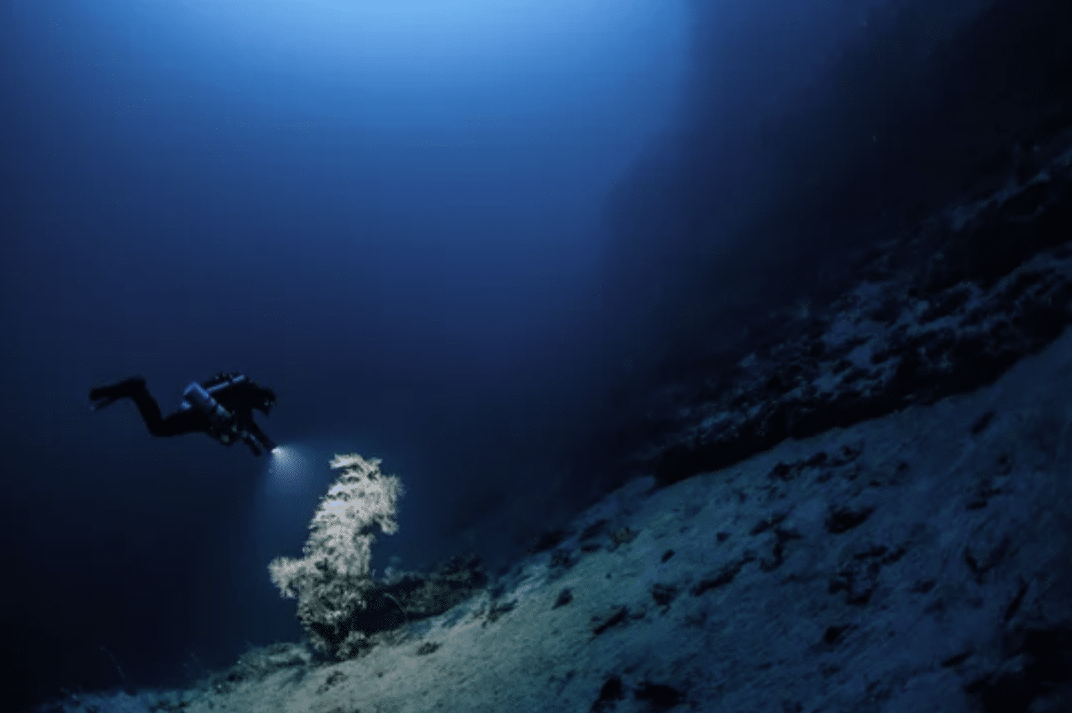 Screenshot 2026-04-16 at 001849 - N9BO℠ | Global Underwater Services Ltd A scuba diver underwater shines a torch on a coral-covered rock, illuminating the dark, deep blue sea floor with steep slopes around them.