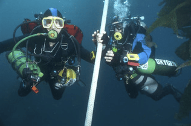 Two scuba divers in full kit are underwater, each holding onto a thick white rope. Both wear masks and cylinders, and one diver is surrounded by green aquatic plants.