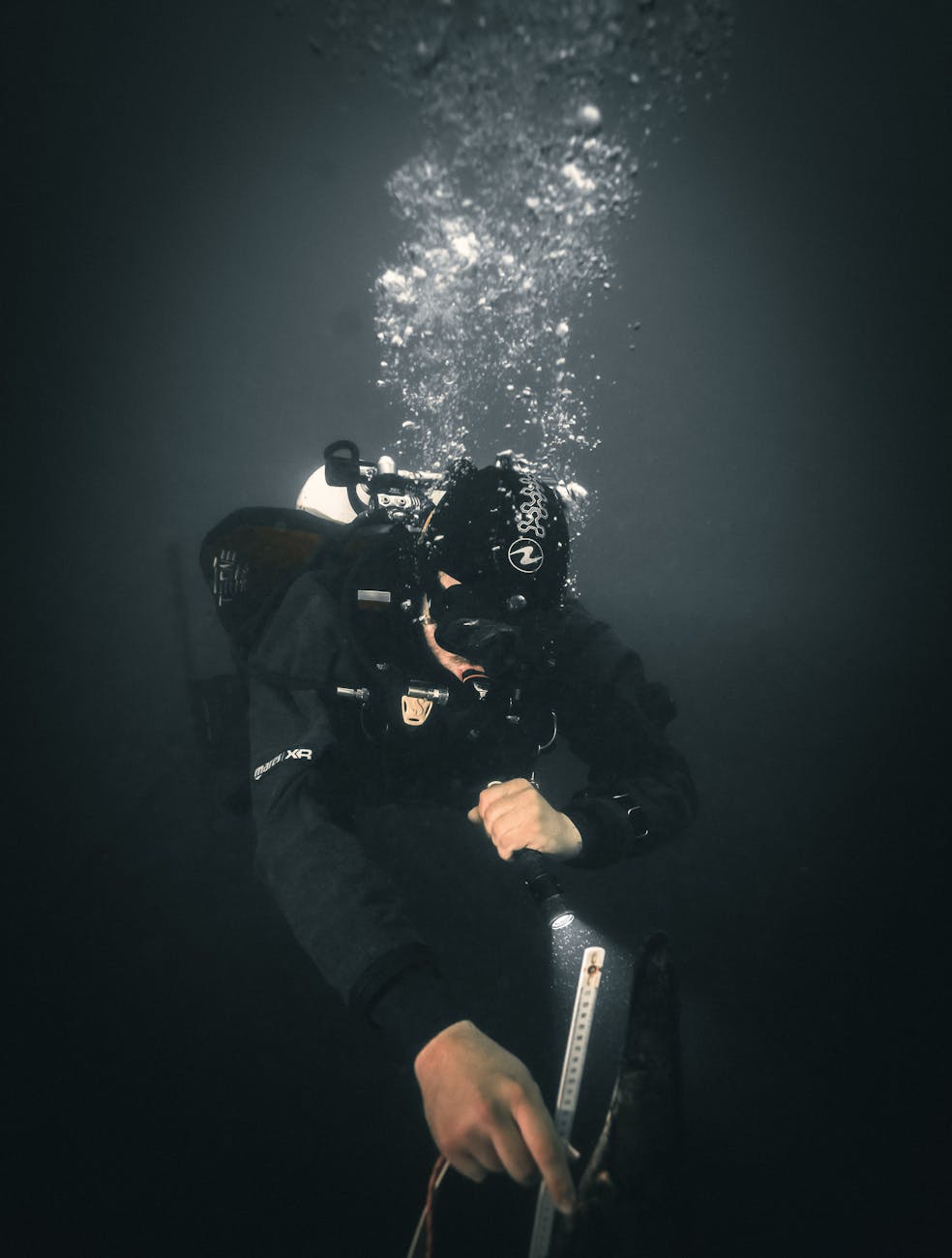 pexels-photo-17371358 - N9BO℠ | Global Underwater Services Ltd man scuba diving