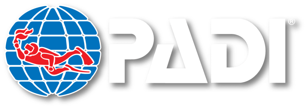 The PADI logo, featuring a red scuba diver over a blue globe with white lines, is next to bold white letters spelling PADI on a light background.