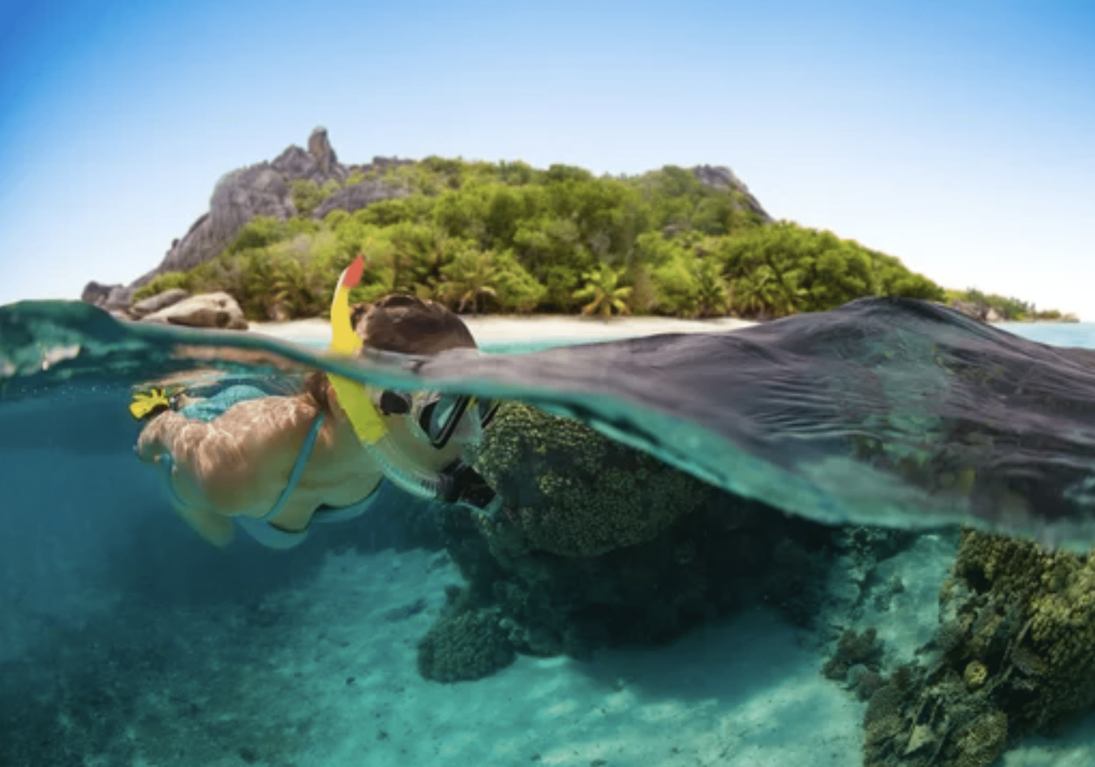 Screenshot 2026-05-18 at 003535 - N9BO℠ | Global Underwater Services Ltd A person snorkelling near a tropical island, captured half above and half below the water. Clear water reveals coral and underwater scenery, while the lush island and blue sky are visible above the surface.