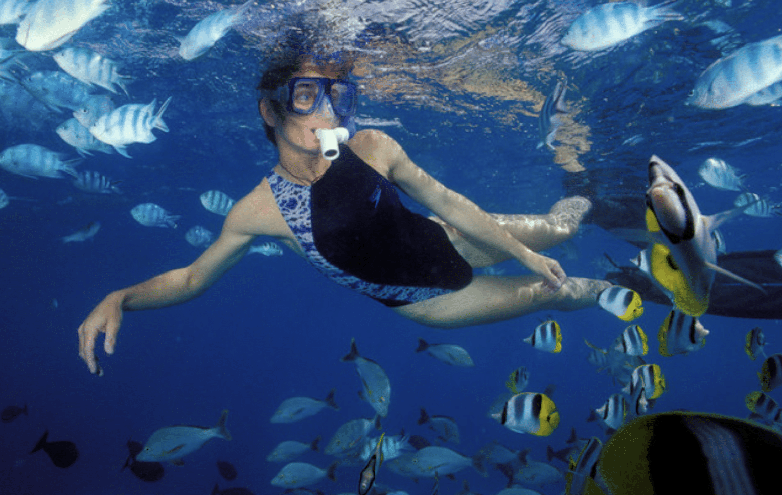 A person wearing a snorkel and swimming goggles swims underwater among colourful fish in clear blue water. The person is surrounded by various species of fish, some with stripes and others with yellow markings.