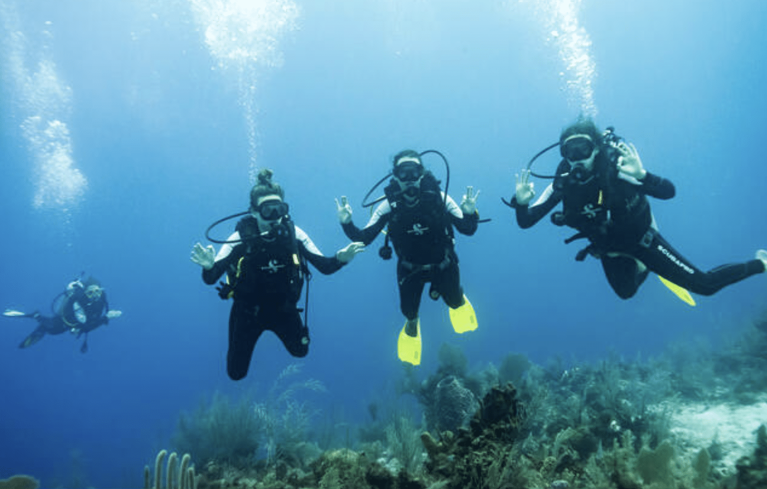 Four scuba divers with yellow fins are underwater, posing and waving for the camera above a coral reef in clear blue water.