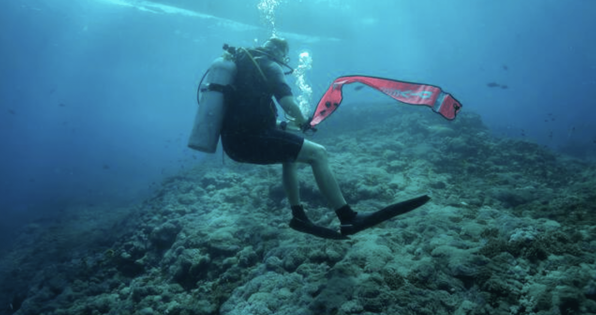 Screenshot 2026-06-03 at 153630 - N9BO℠ | Global Underwater Services Ltd A scuba diver swims above a rocky coral reef underwater, holding a red safety marker buoy that floats upward towards the water's surface. Sunlight filters through the blue water.