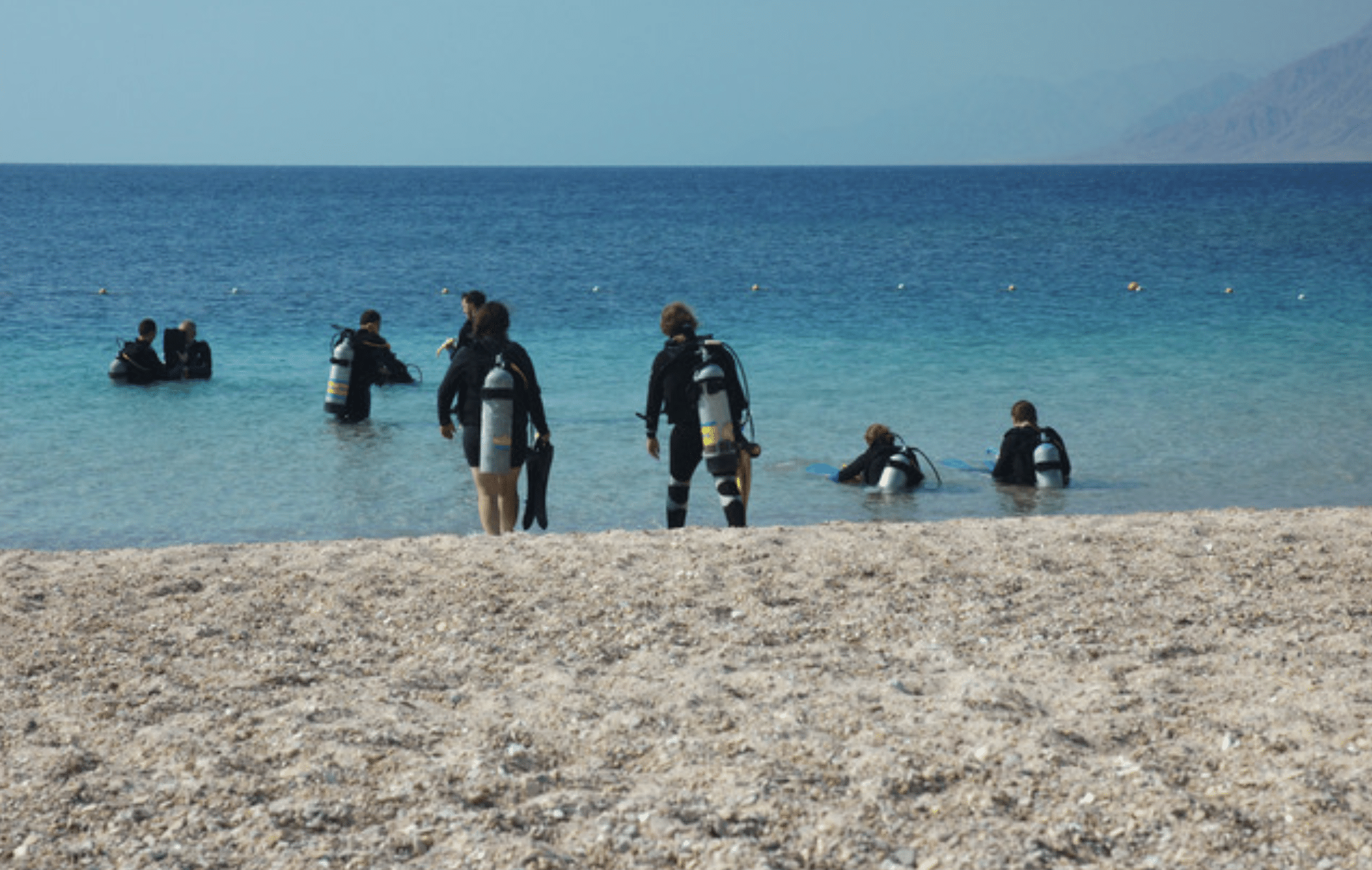 Screenshot 2026-06-06 at 113006 - N9BO℠ | Global Underwater Services Ltd A group of scuba divers in wetsuits and gear enter the clear blue sea from a pebbly beach, with mountains visible in the distant background under a clear sky.